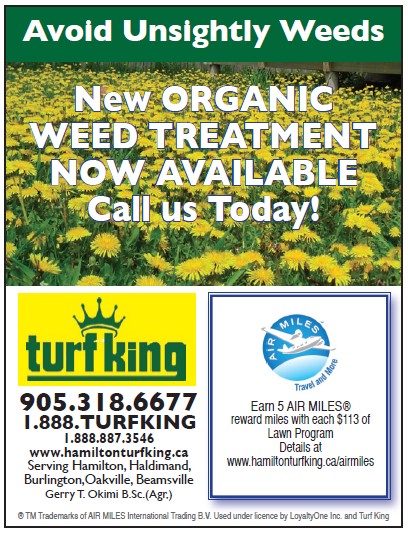 avoid unsightly weeds with Turf King